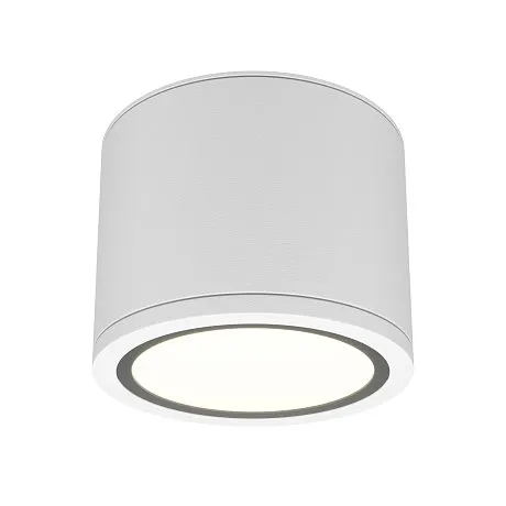 Потолочный светильник Рэндо / Rendo 1*GX53 12 Вт IP 44