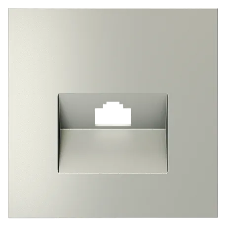 Накладка для розетки компьютерной RJ45 кат.6 и розетки телефонной RJ11 кат.3, S70 (сталь)