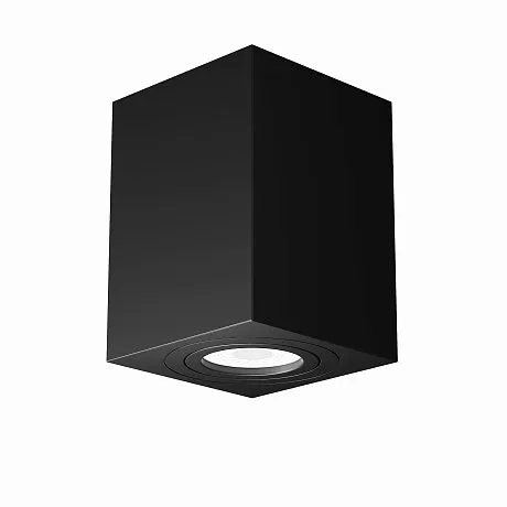 Потолочный светильник Атом / Atom 1*GU10 10 Вт