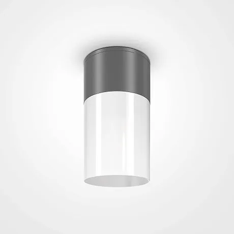 Потолочный светильник Willis E27х1 60Вт IP 54
