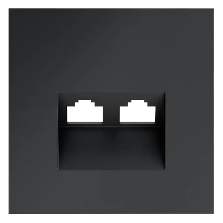 Накладка для розетки компьютерной двойной RJ45+RJ45 кат.6, S70 (графит)