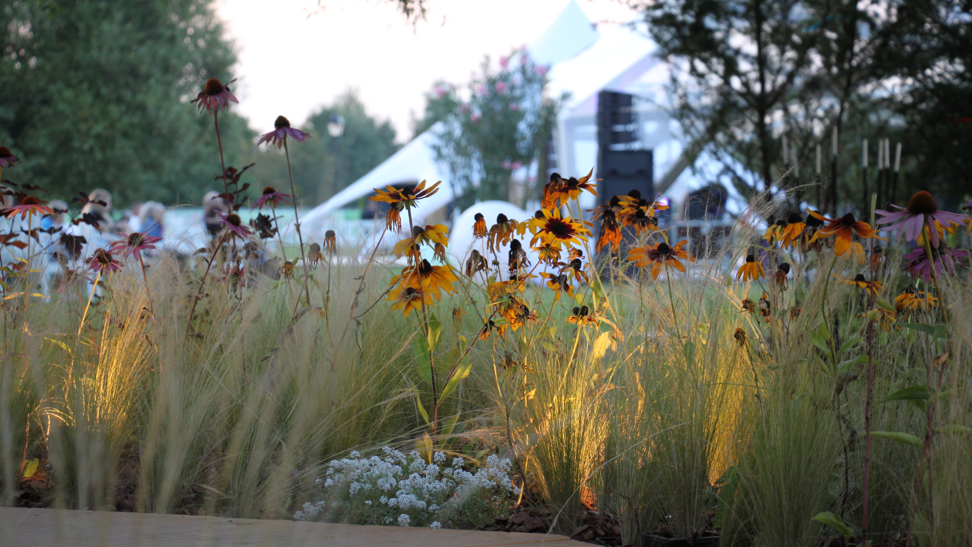 Изображение проекта