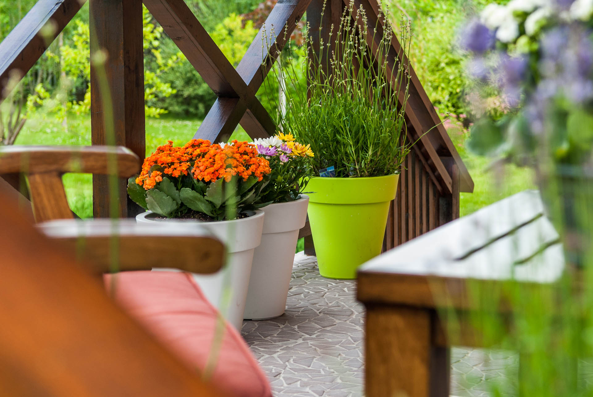 Альпийский дух на веранде