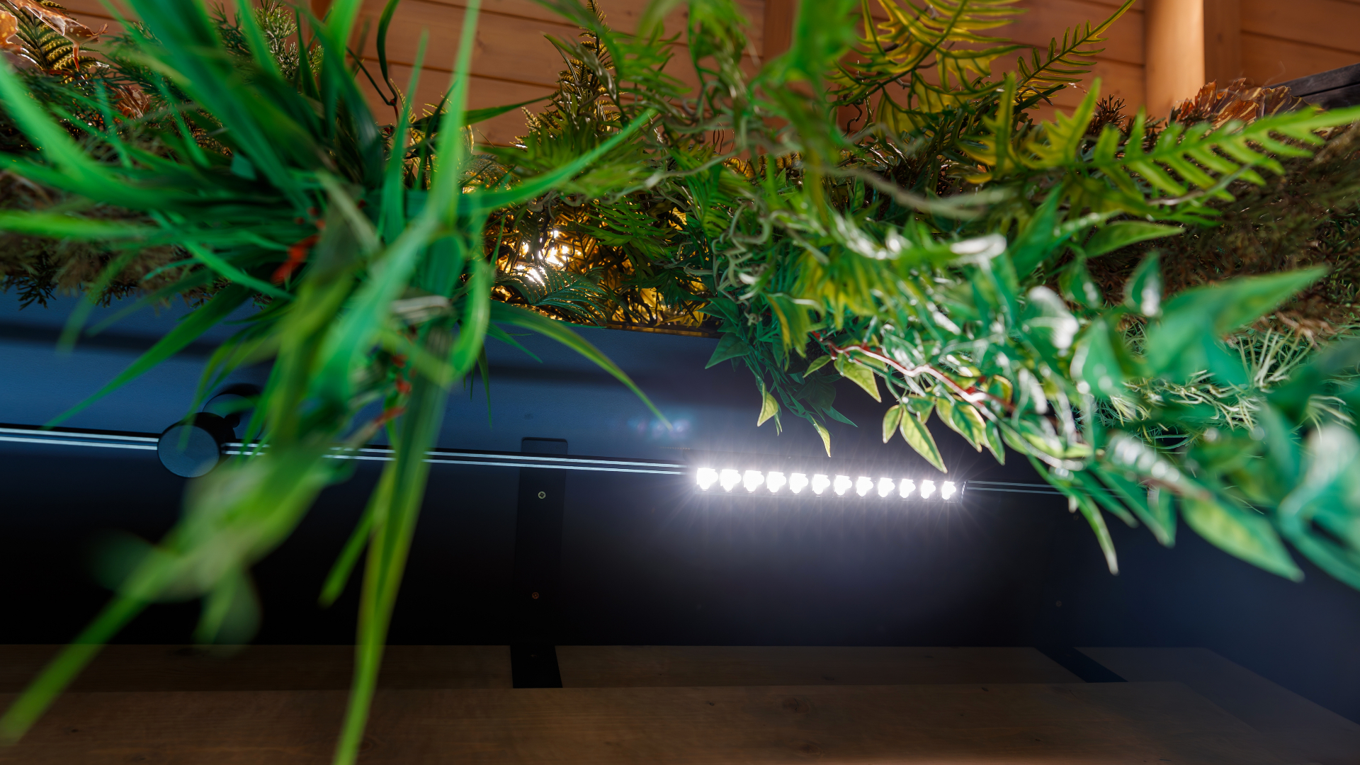 Изображение проекта