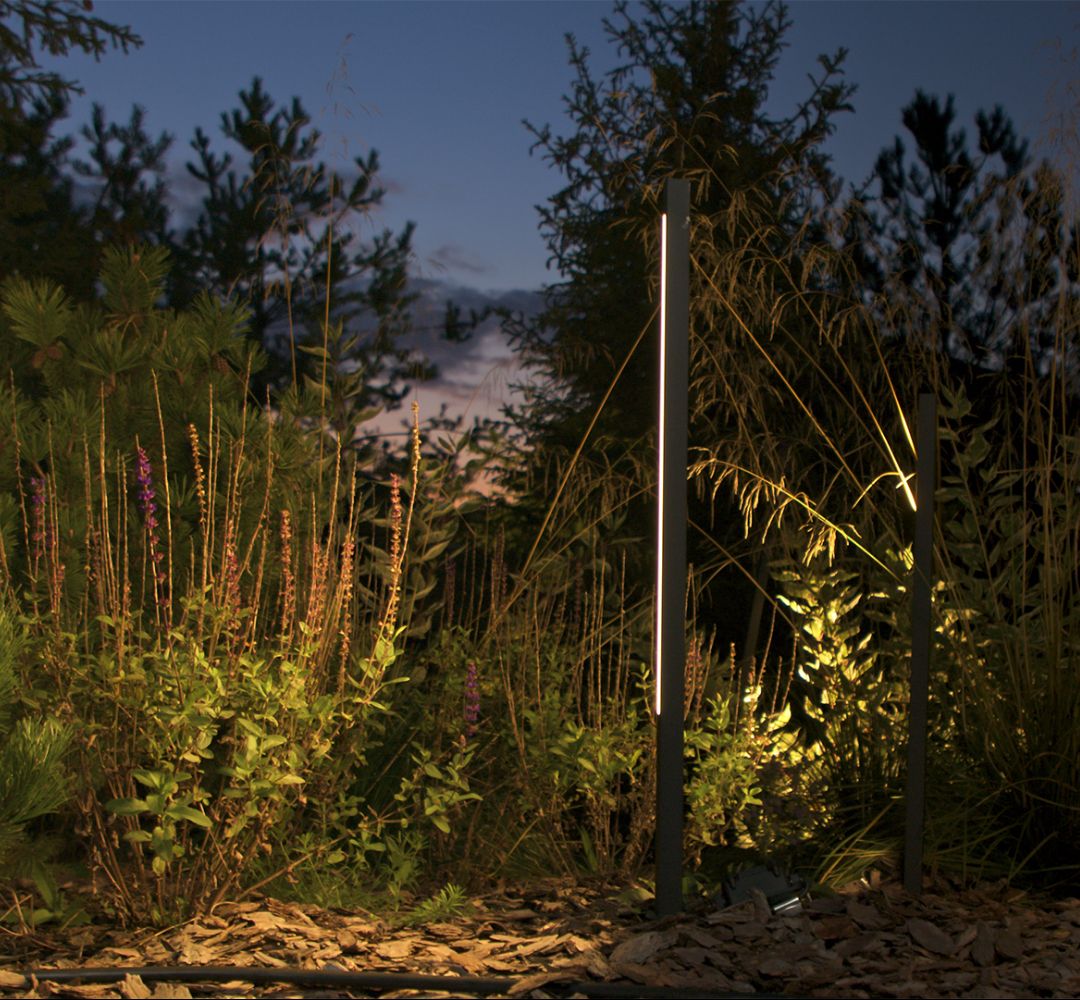 Гектар мечты