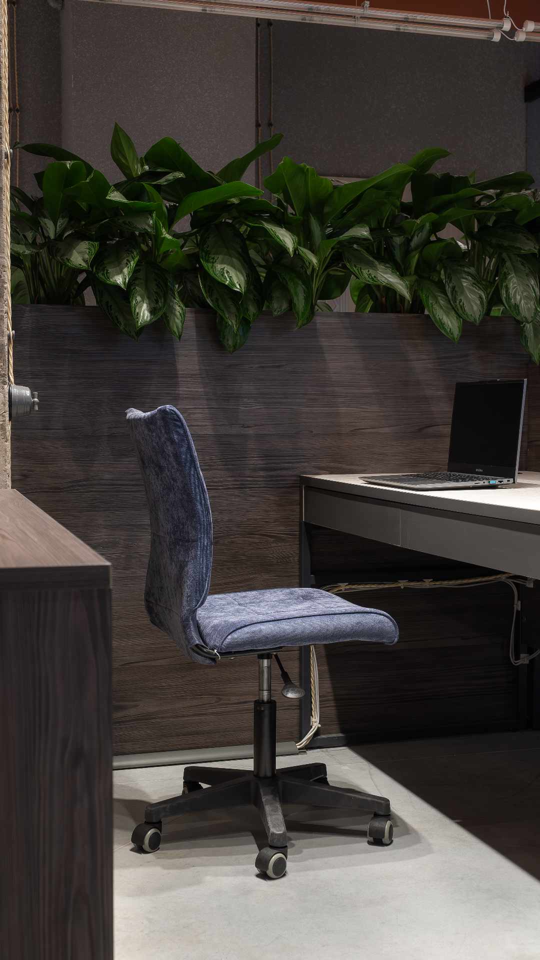 Ростовская Pallada