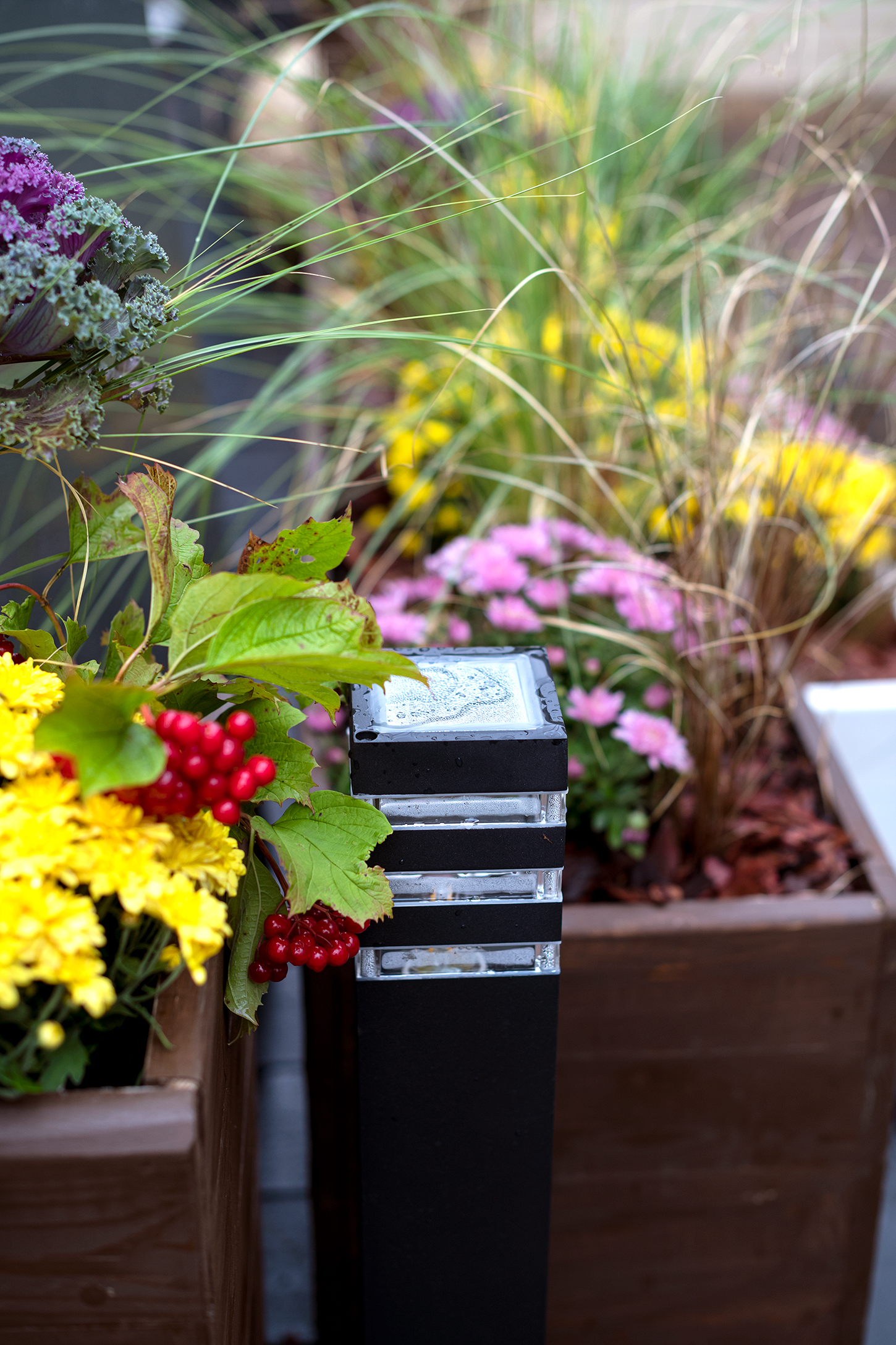 Изображение проекта