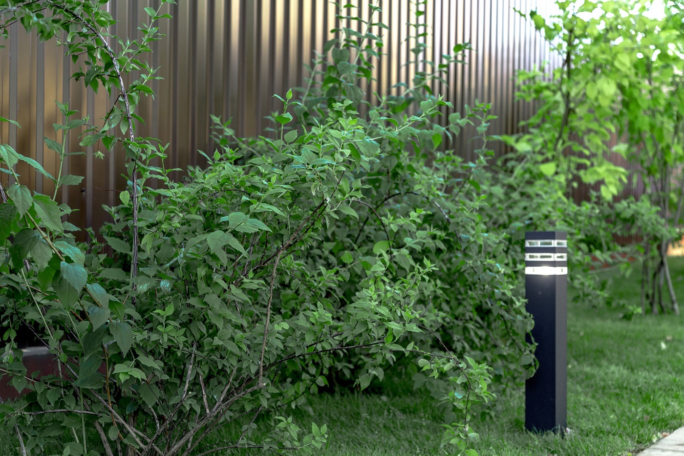 Сад с веревочным парком