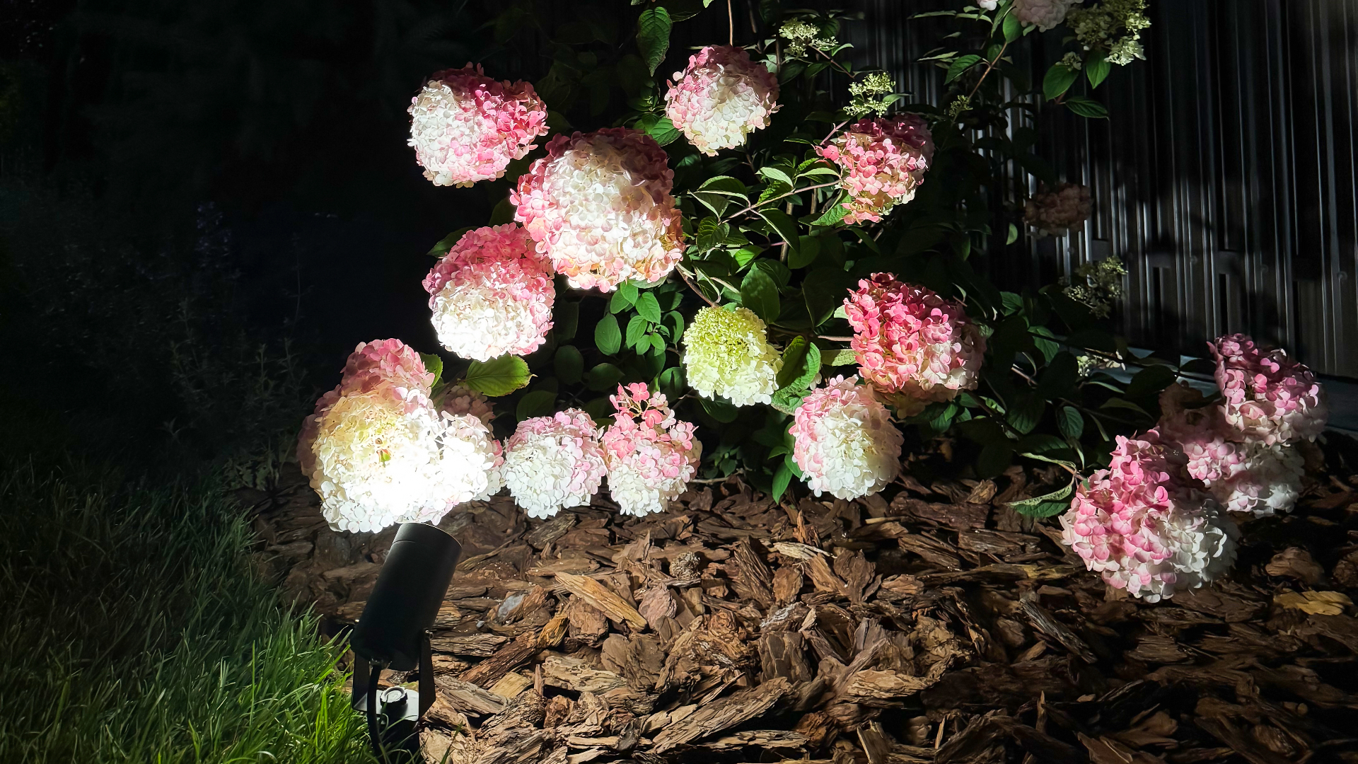 Изображение проекта