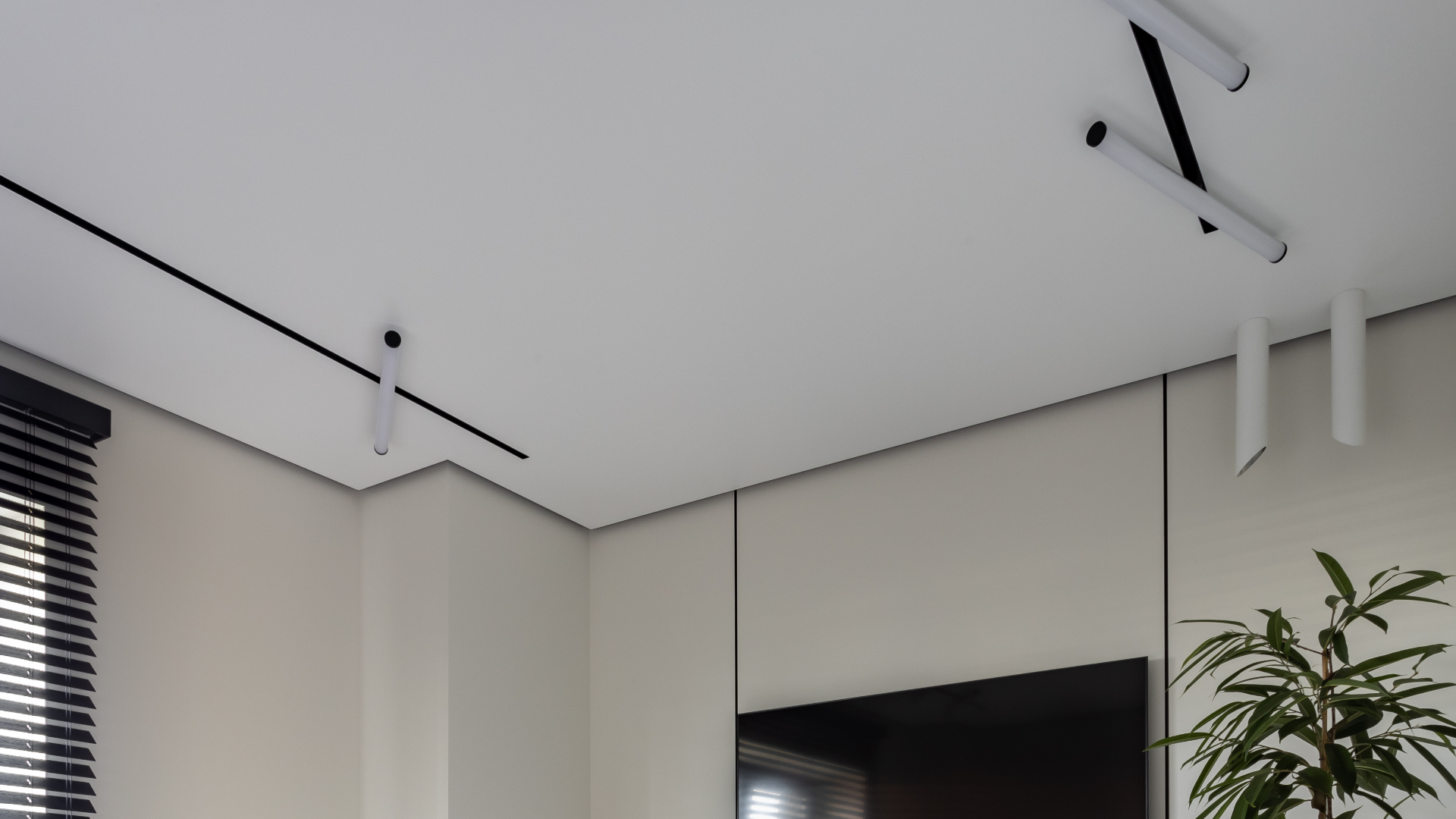 Изображение проекта