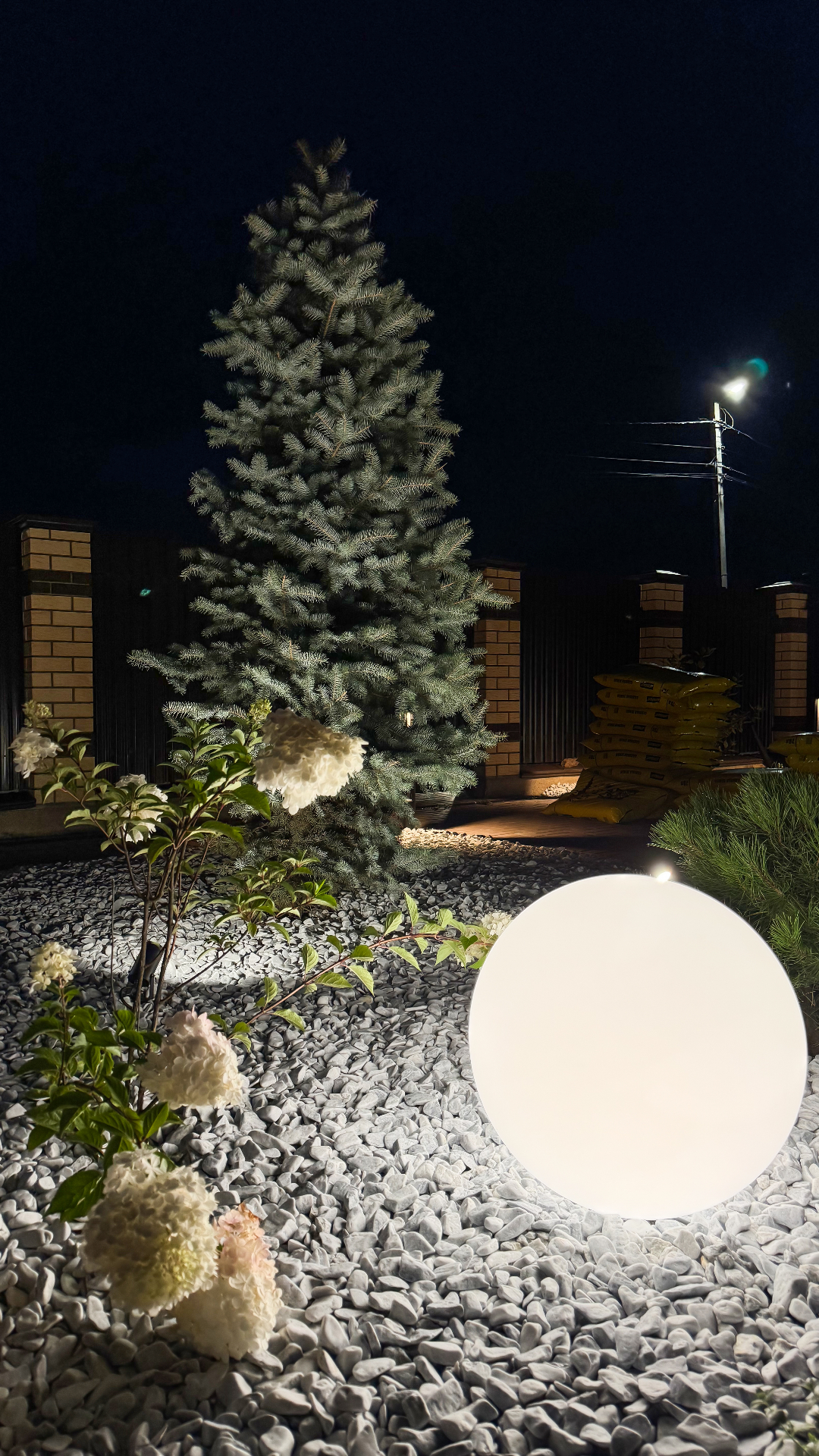 Свет и природа в гармонии: ландшафт КП «Земляничная поляна»