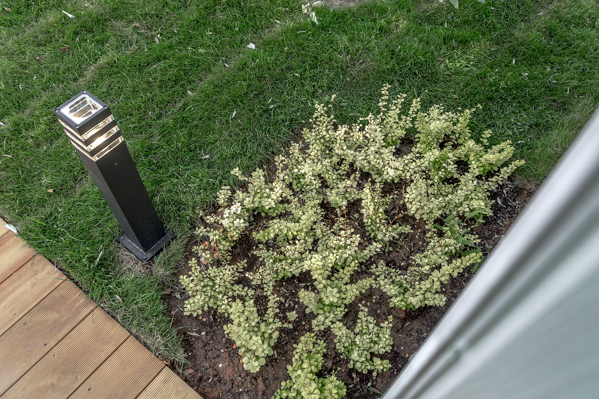 Сад с веревочным парком