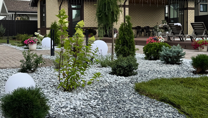 Изображение проекта