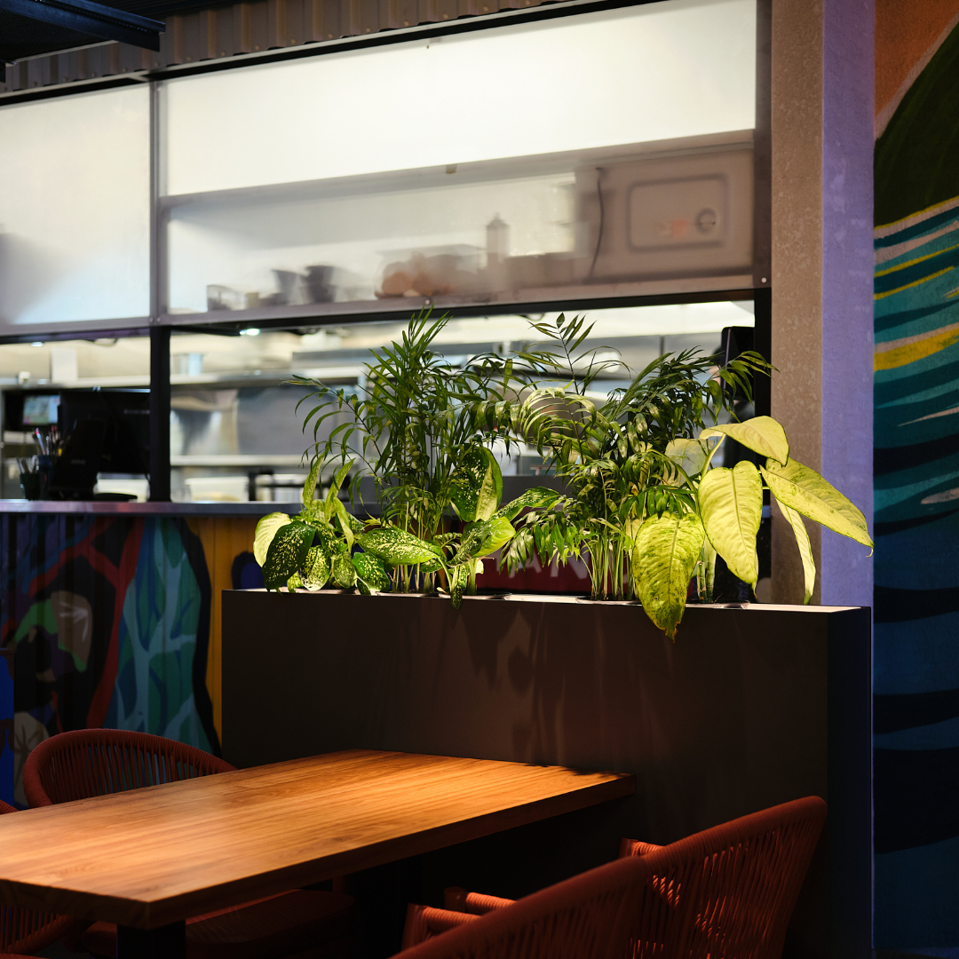 Бангкок. Ханой. Иркутск.