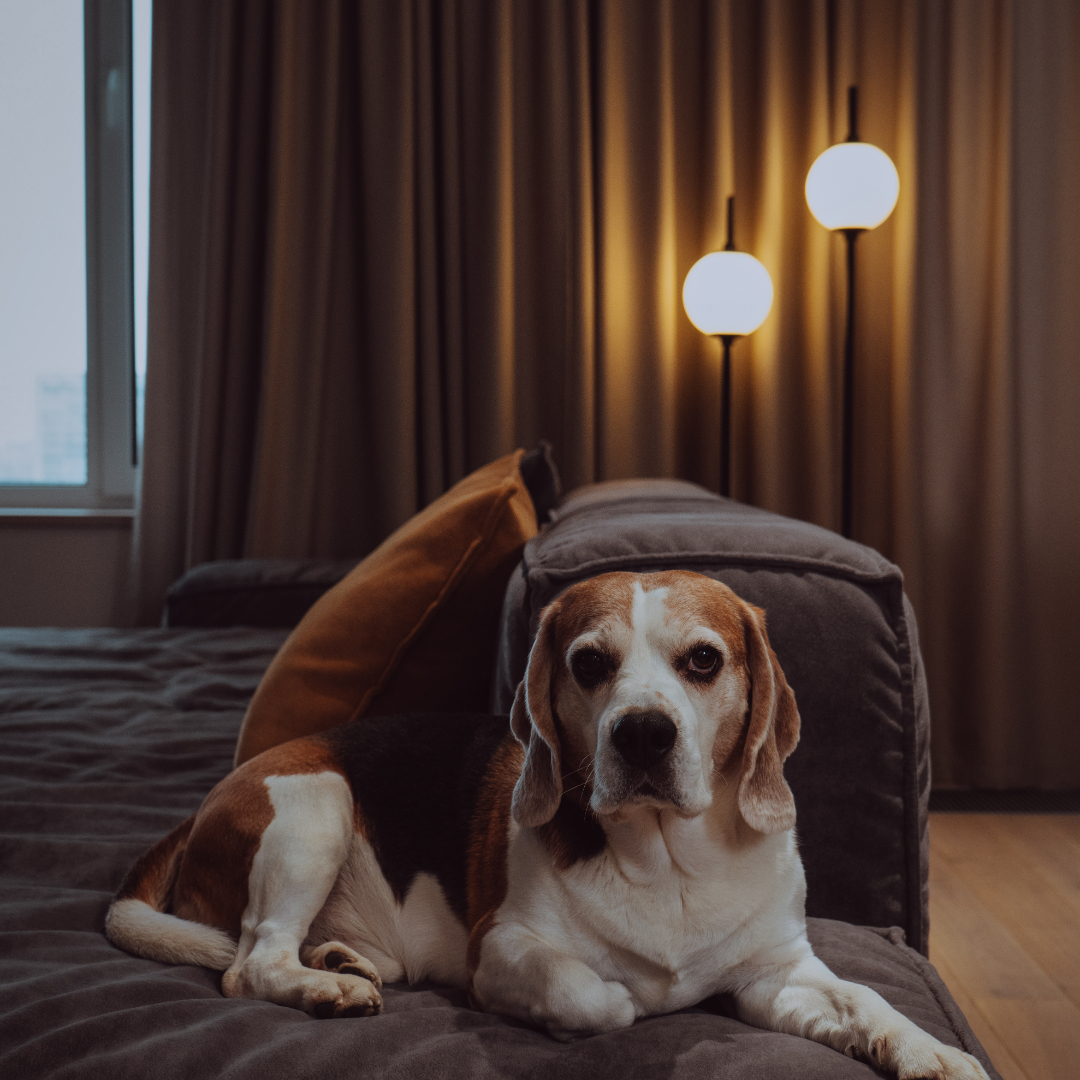 Квартира-трансформер в ЖК River Park Кутузовский