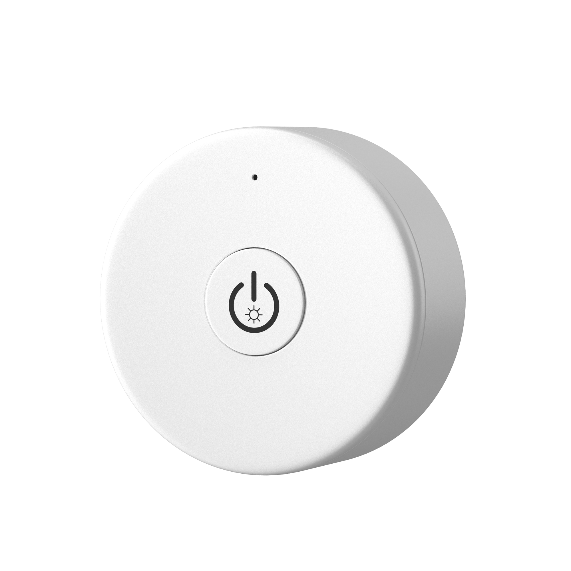 Пульт для монохромного источника света  1 зона