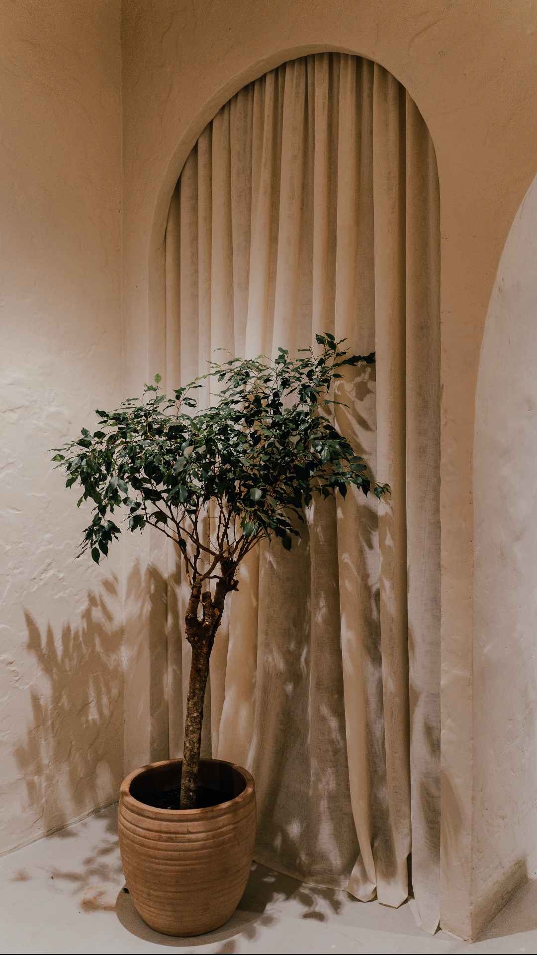 Ресторан «Balance»: где свет замедляет время