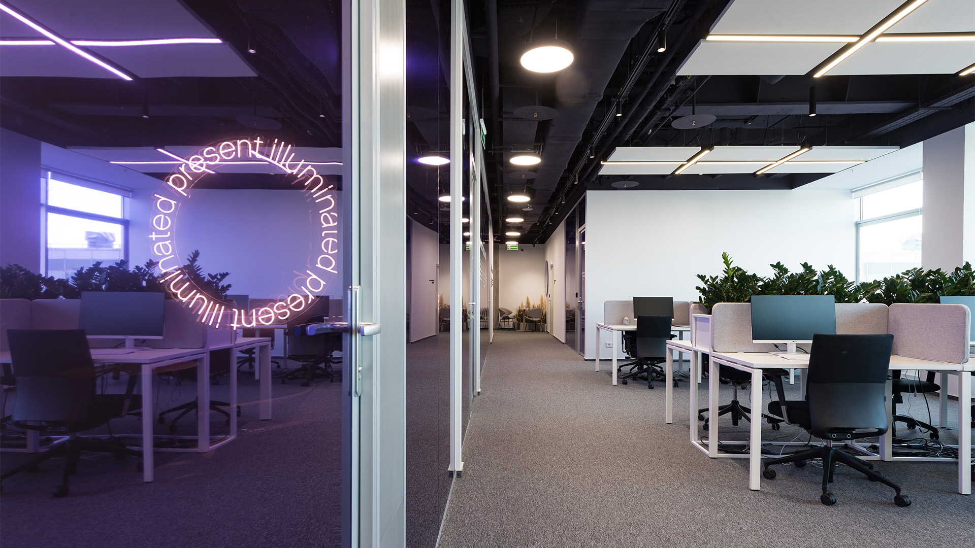 Офис Maytoni: свет, пространство, смысл