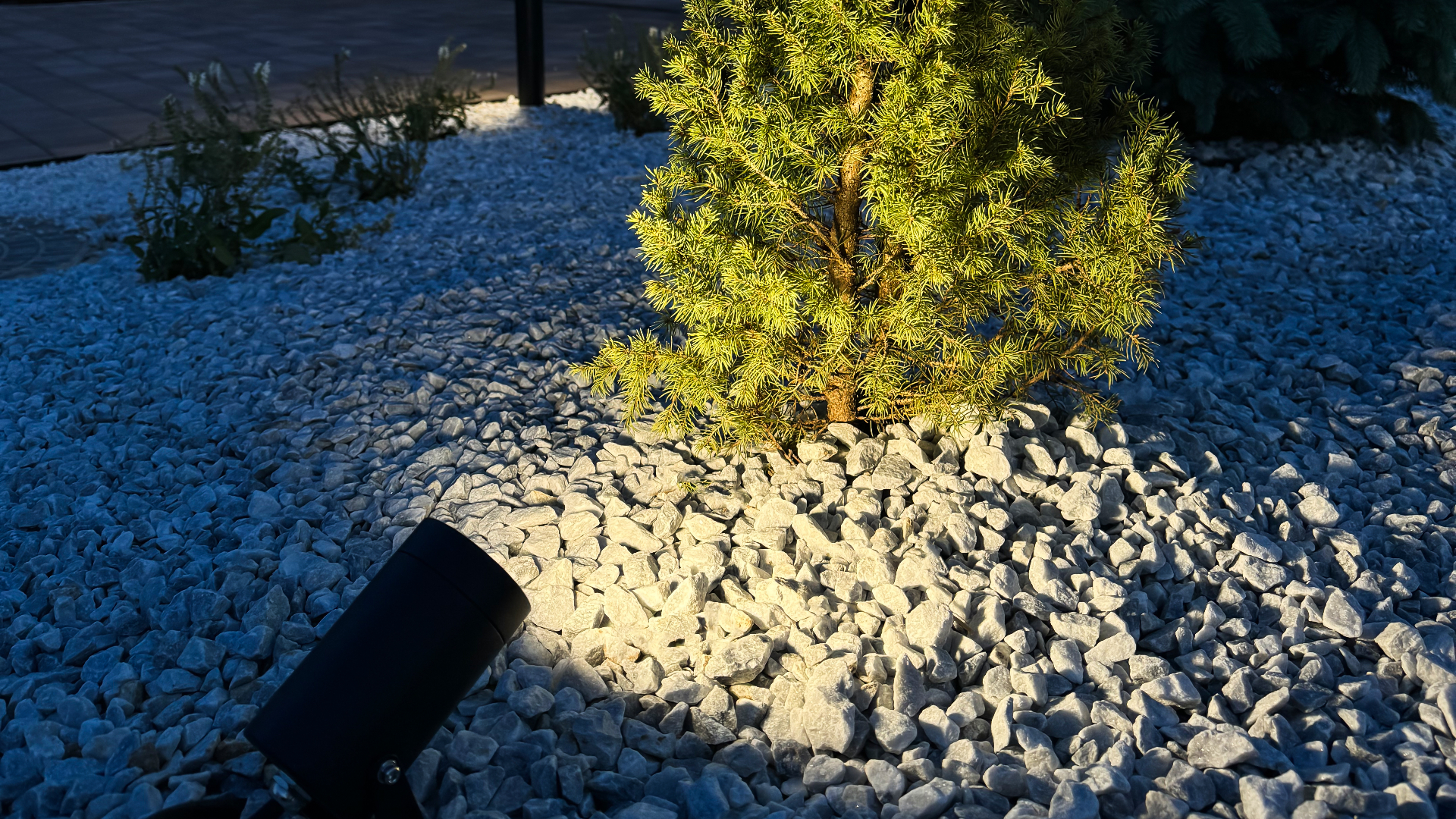 Изображение проекта