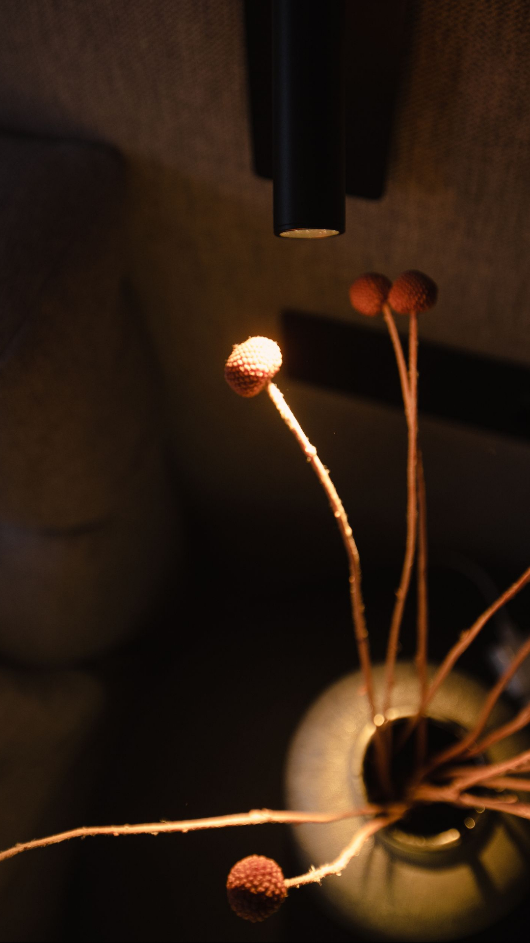 Семейное «гнёздышко» с видом на Москву-реку