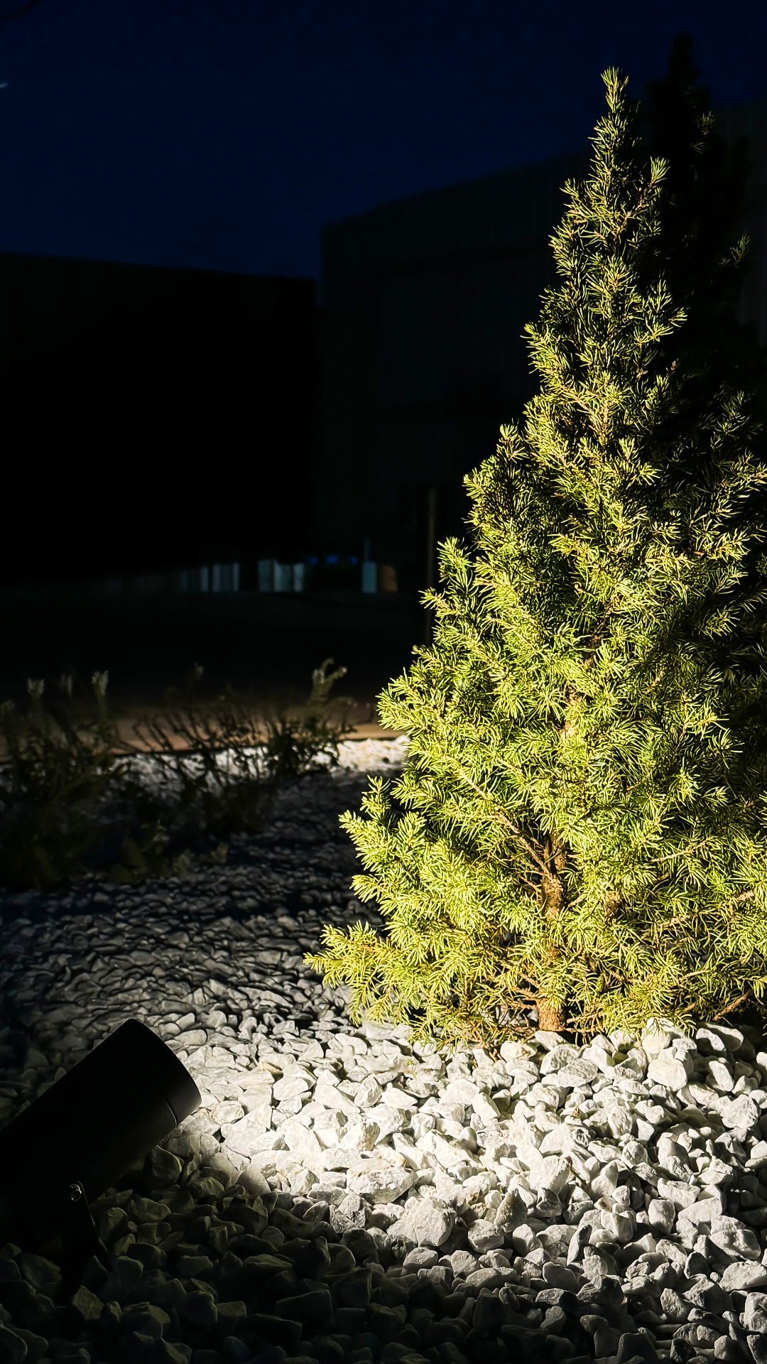 Минимализм, подсвеченный изнутри: сад частного дома