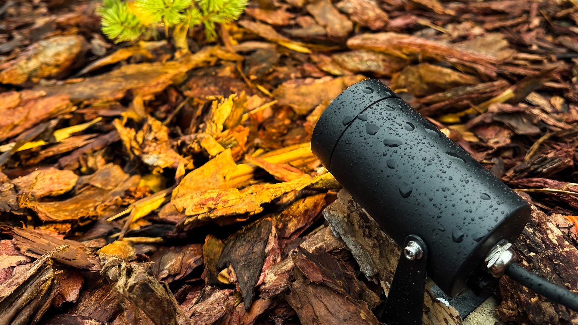 Изображение проекта